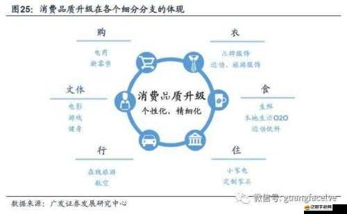 戰斗力提升秘籍：解析全新隊伍評級系統，助力團隊戰力飛躍成長
