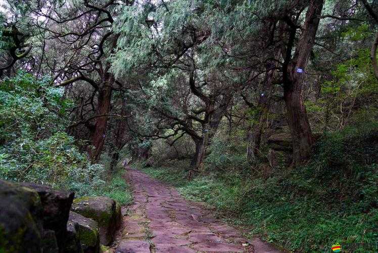 鎖鏈戰(zhàn)記平民攻略：魔光角陣策略詳解，征服討伐戰(zhàn)的最佳方法