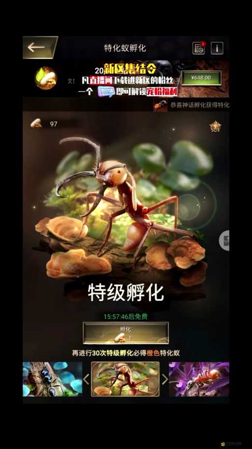 新手陣容搭配匯集：小小蟻國特化蟻陣容搭配新選擇