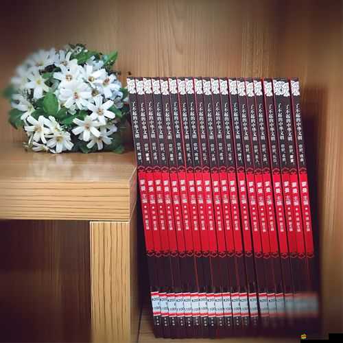 新書推薦：《進(jìn)可攻退可守：怪咖聯(lián)盟NTR攻略秘籍》