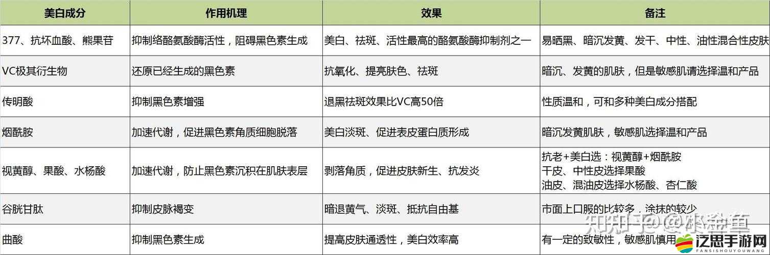 精華國產(chǎn)一二三區(qū)區(qū)別：特點與差異