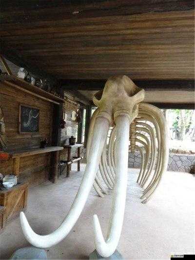 亞洲最大網站 7777 怡紅院首頁被黑