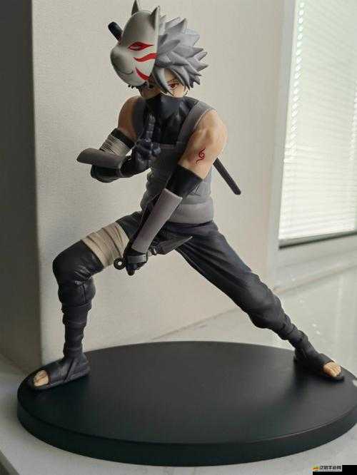 海賊與火影的寶物爭(zhēng)奪戰(zhàn)