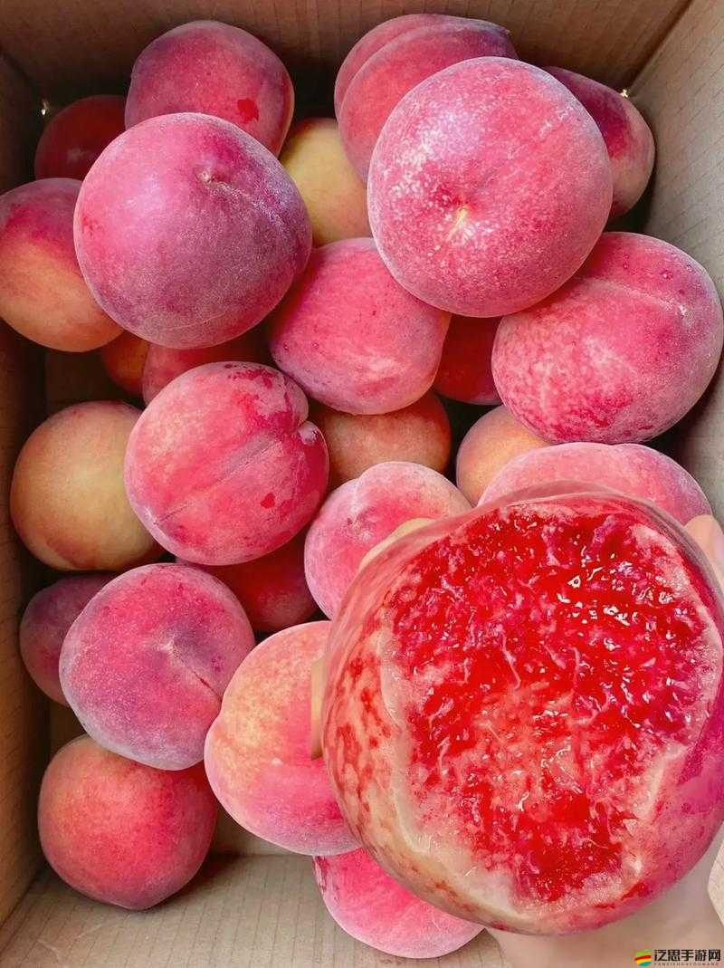多汁的水蜜桃：誰都想咬一口