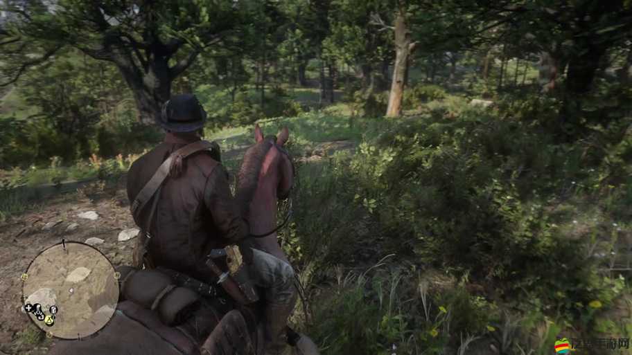 《荒野大鏢客2》阿爾登馬與安達(dá)魯西亞馬抓取攻略
