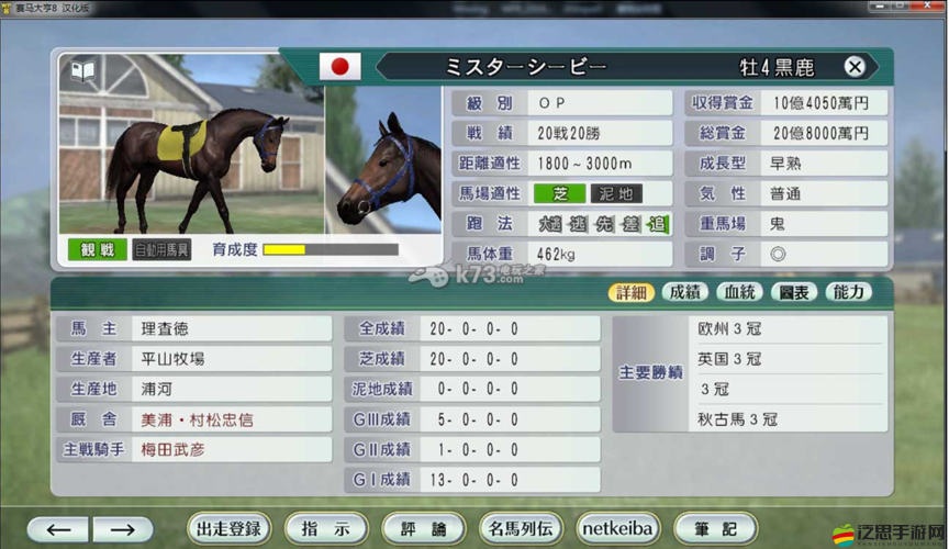 賽馬大亨8資深玩家深度剖析，獨家賺錢策略與心得分享