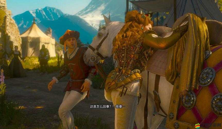 巫師 3 狂獵第一章圖通關(guān)必備心得技巧分享與詳細(xì)解析