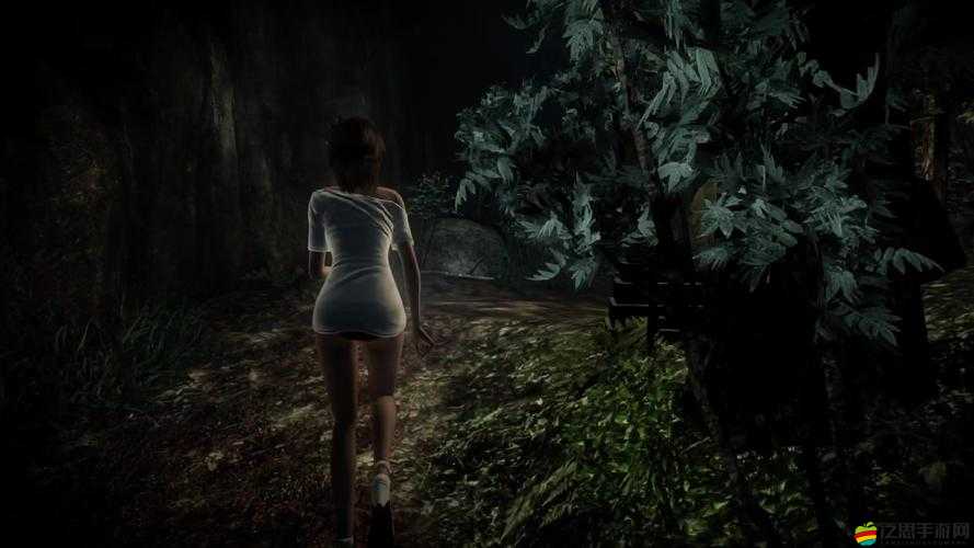 零濡鴉之巫女WIIU版，詳盡按鍵操作指南與全面揭秘