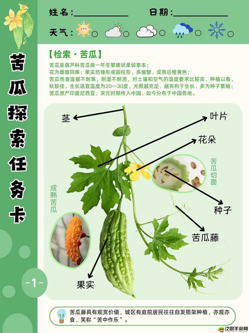 李宗瑞苦瓜網：探索健康飲食與生活方式的完美結合