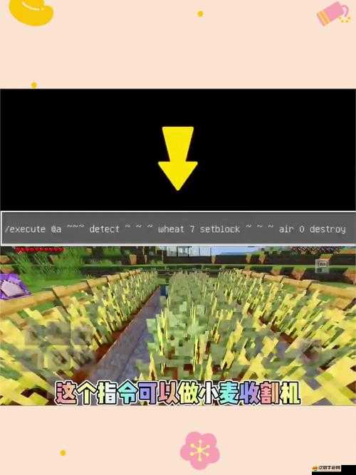 我的世界：種植小麥的秘訣與豐收之道
