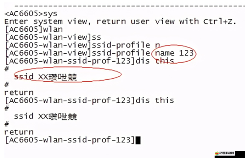 日文中字亂碼一二三區別的文化探討與影響分析