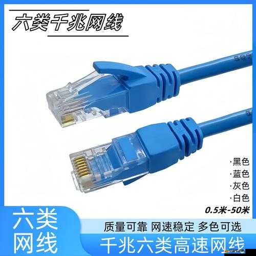 精品成品網線 1688 優質網線批發選購