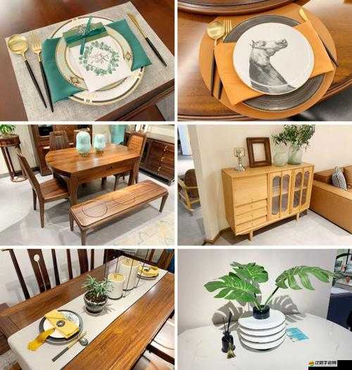 小熊料理攻略：打造溫馨餐廳（新手篇）