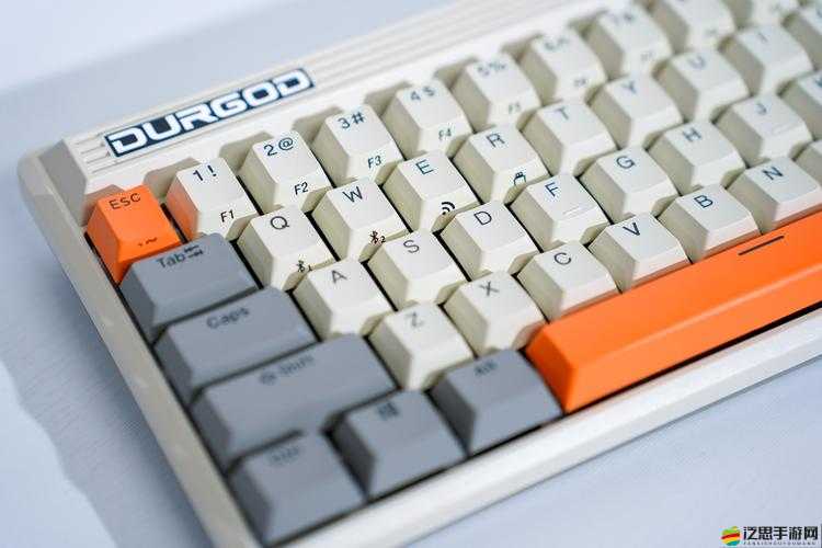 神鬼寓言周年紀(jì)念版PC版詳細(xì)解析，鍵盤按鍵操作全面揭秘指南