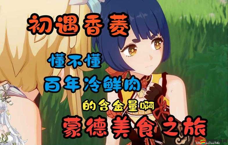 原神4.1世界任務(wù)：開滿鮮花的草地上美食之旅