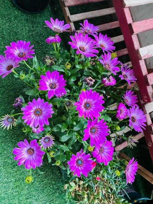 老公親我小花園且全開放了：他愛我嗎