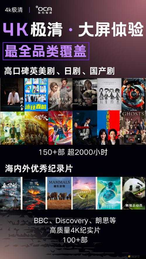 SYWV75 有線高清電視線：暢享清晰視界