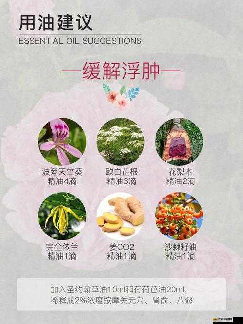 James 配對的女生：浪漫之旅即將開啟