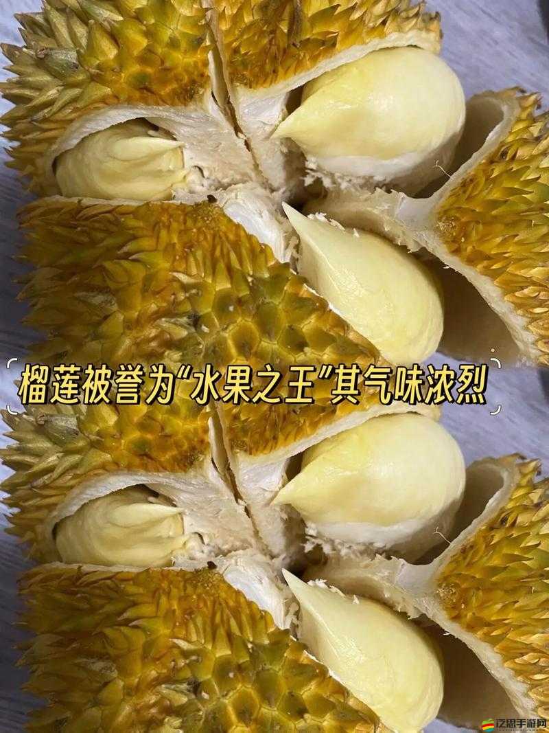 草莓絲瓜芭樂櫻桃榴蓮黃：美味水果大集合