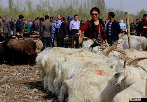 緬甸思夢開火車 17 小時：一段難忘的旅程