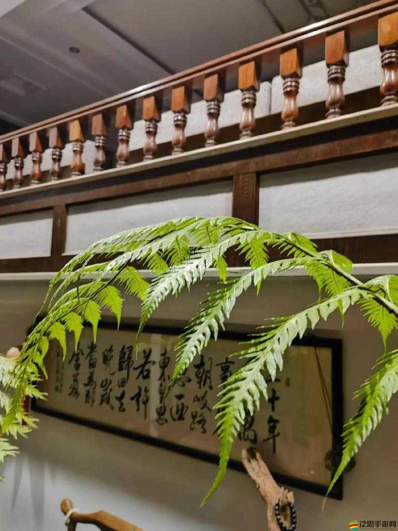 幸福人生蘇大強文章：探尋背后的真諦