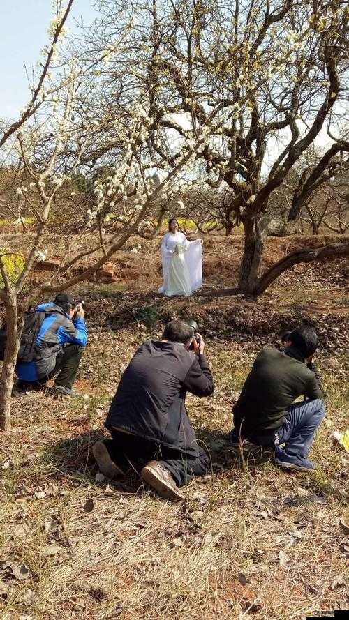 成全看免費觀看：全新視覺盛宴等你