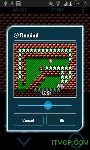 萬仙萌電腦版下載：哪個(gè)模擬器更好？