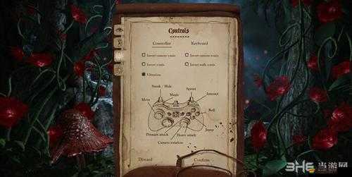 伍爾夫小紅帽日記存檔位置相關(guān)探究及詳細(xì)說明分析