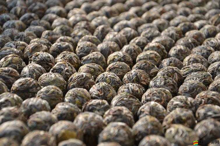 亞歐精品產區：匯聚全球優質商品