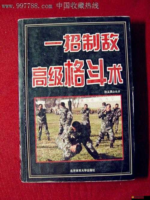 大豪俠武功搭配技巧：合理搭配，輕松制敵