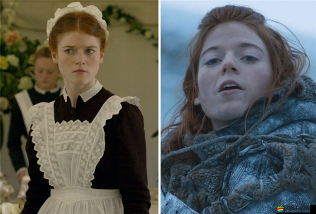 《錯誤游戲Reset之DIGDUG角色探秘：全面解析游戲中的角色風采》