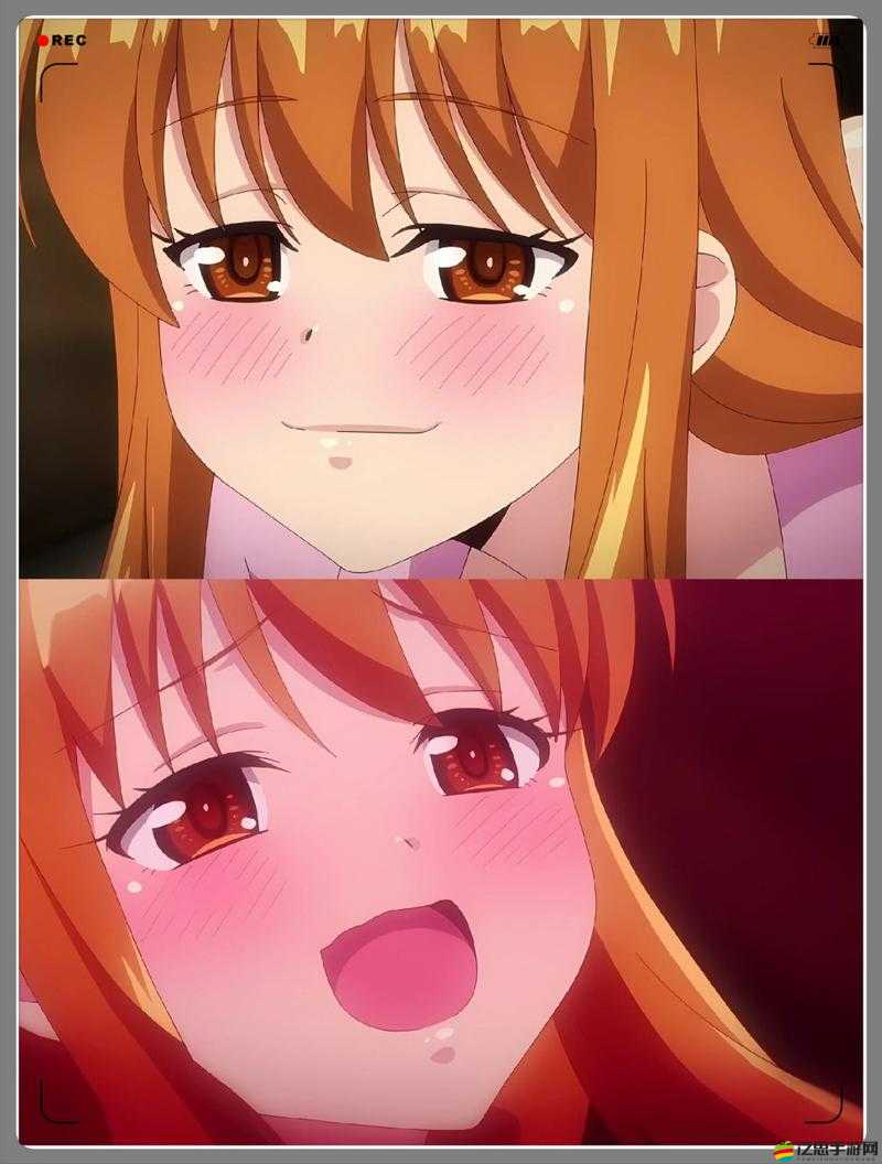 后營露營第一季未增減 0000：精彩開啟