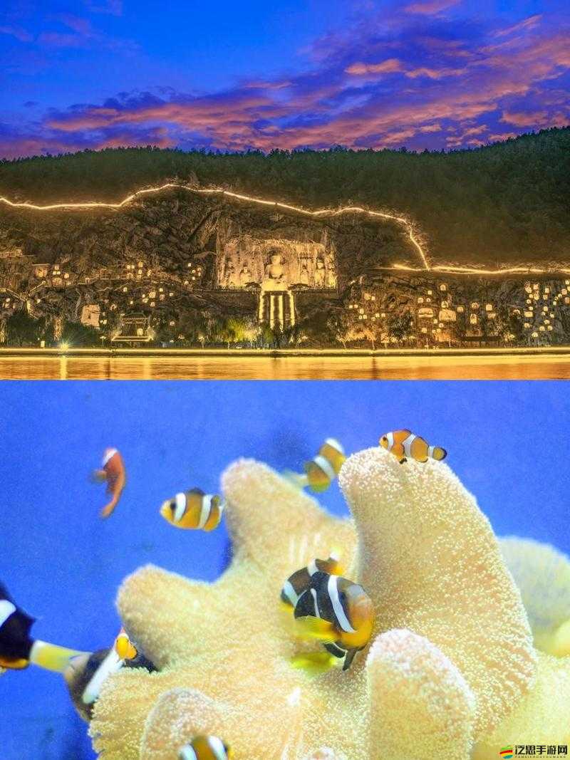 讓人看了下面有感覺：探索獨特魅力