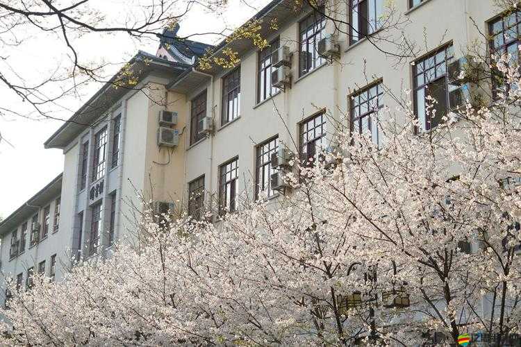 校園 Pop1 車多：獨特的校園風景