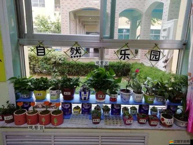 小花園想夾東西怎么辦：解決方法探討