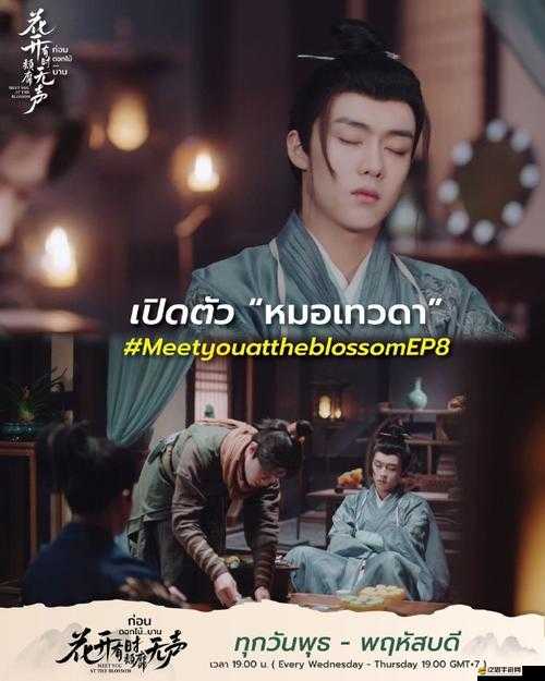 花開有時(shí)頹靡無聲電視劇：精彩劇情來襲