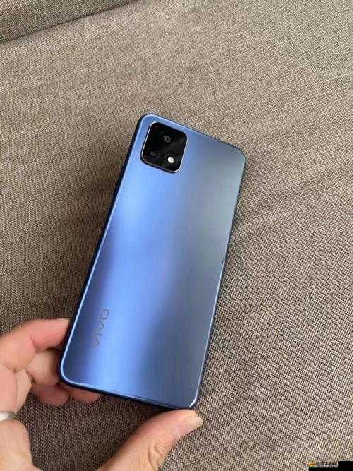 成色好的 Y31S 標(biāo)準(zhǔn)版下載-輕松獲取優(yōu)質(zhì)版本