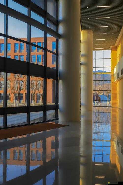 《蒼穹之光》破曉——職業(yè)技能深度解析與實戰(zhàn)應(yīng)用指南