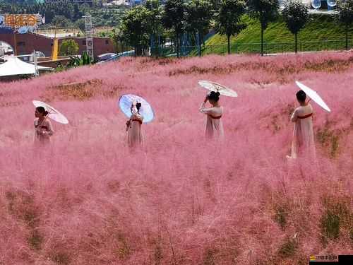 愛絲小仙女：夢幻之旅即將開啟