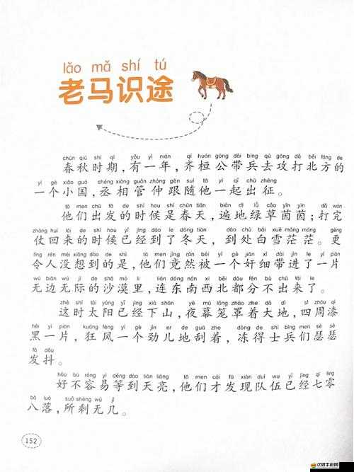 老馬的春天顧曉婷：一段溫馨的故事