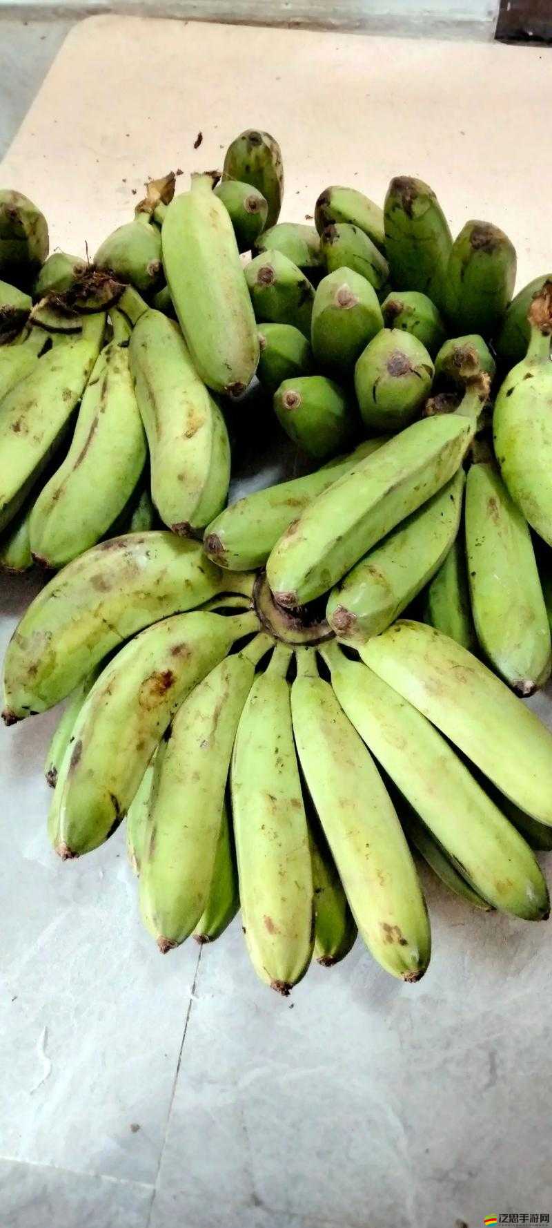 大香蕉香蕉網：提供豐富香蕉相關資訊與服務的平臺