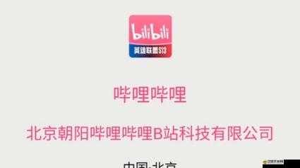 嗶哩嗶哩嗶哩 24 小時觀看免費：精彩不間斷