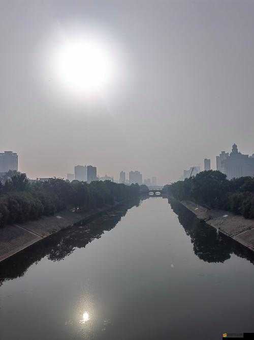 Z0OZO0 人善之交另類：探尋獨特人際交往的神秘世界