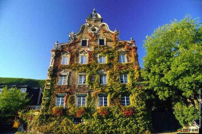 歐美精品一產區二產區的特點：風格差異與藝術追求