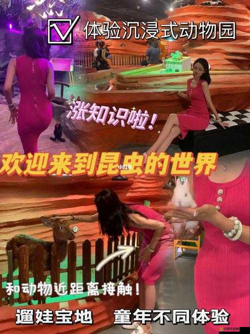 亂爽水交：獨(dú)特體驗與未知冒險