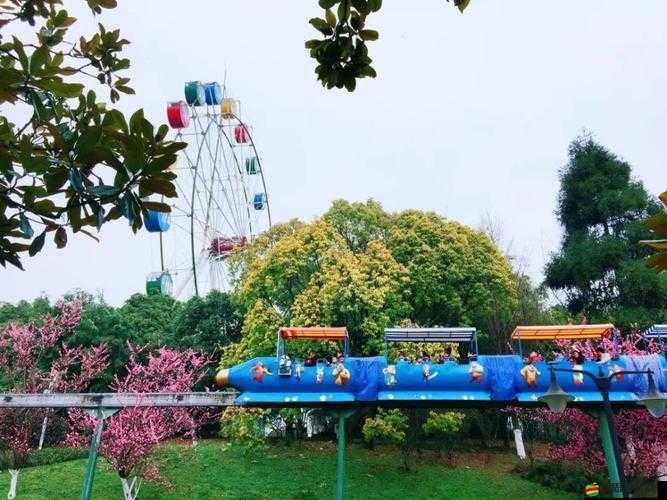 桶爽：一場獨(dú)特的體驗(yàn)之旅