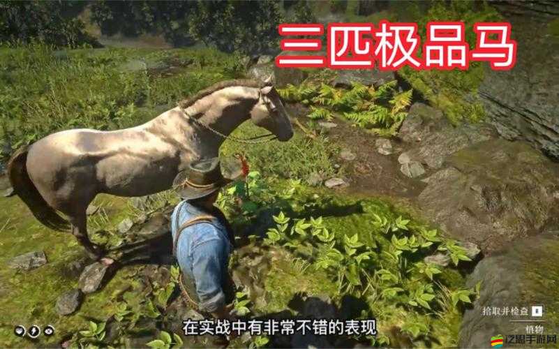 老鏢客視頻大全高清：精彩內(nèi)容不容錯過