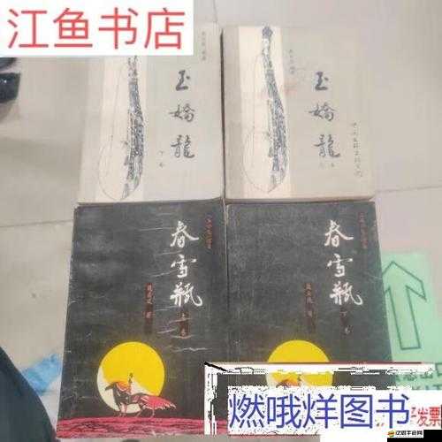 玉嬌龍續(xù)集春雪瓶：續(xù)寫李慕白與羅小虎之女的江湖傳奇