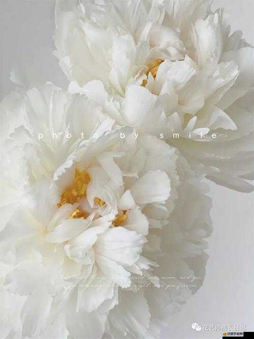 香軟玉滑-林芍藥：絕美佳人