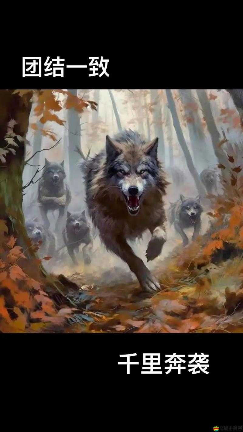 我們身邊潛藏的狼，探索一場關于人性與野性深度交鋒的復雜旅程